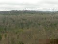 PICT0160