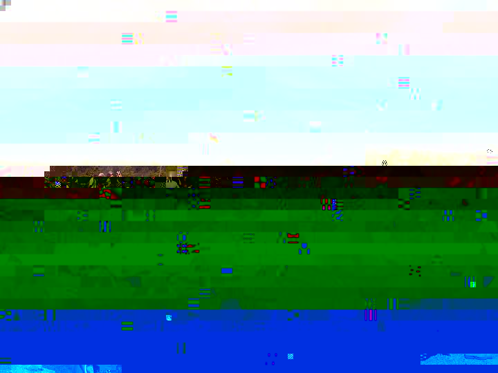PICT0127.JPG