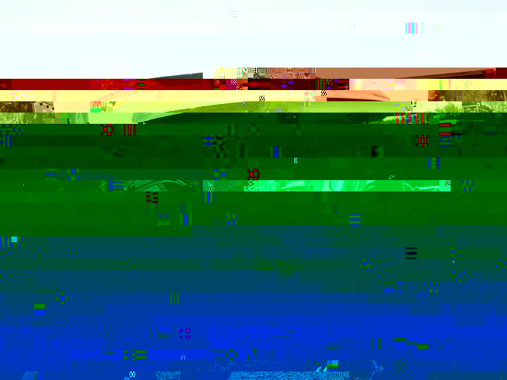PICT0203.JPG