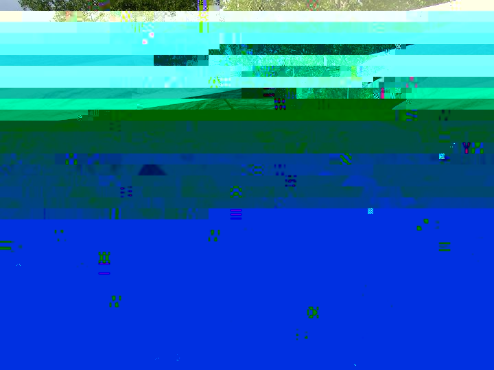 PICT0313.JPG