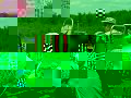 PICT0276