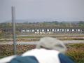 pict0129