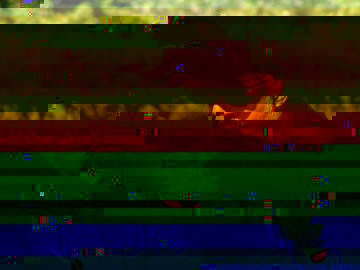 PICT0022.JPG