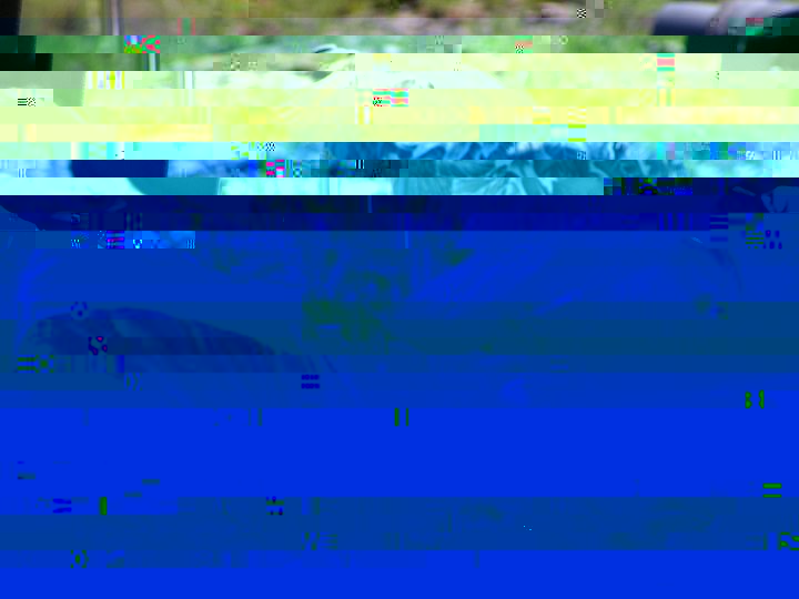 PICT0028.JPG