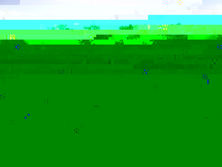 PICT0063.JPG