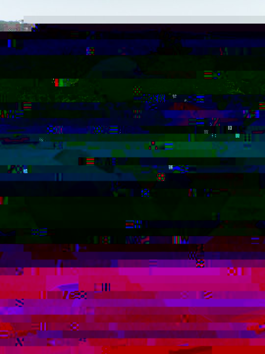 PICT0143.JPG
