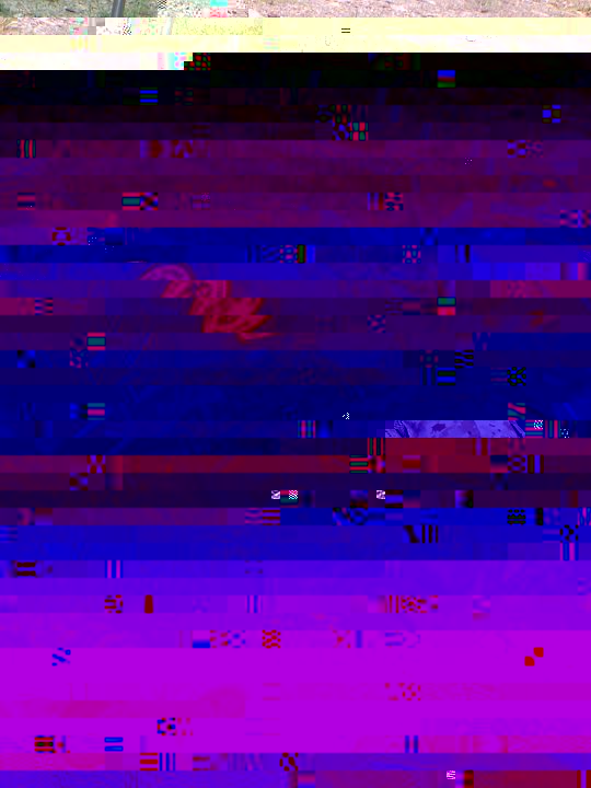 PICT0235.JPG