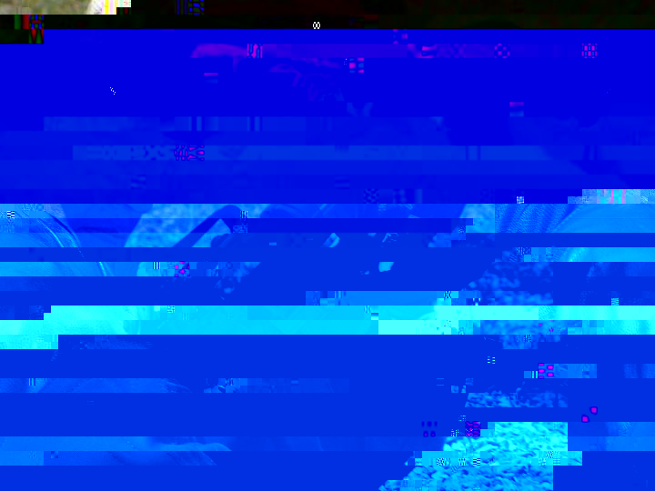 PICT0238.JPG