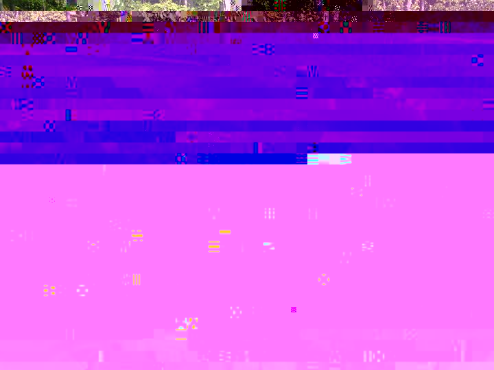 PICT0307.JPG