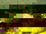 PICT0260.JPG