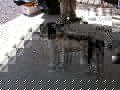 PICT0200