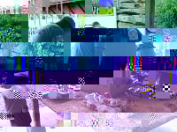PICT0061