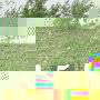 IMG 0180