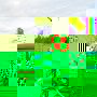 IMG 0220