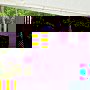 IMG 0235