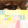 IMG 0237