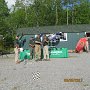 IMG 0266
