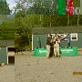 IMG 0267