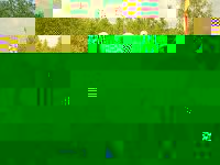 PICT0038