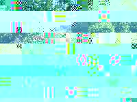 PICT0134