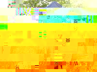 PICT0155